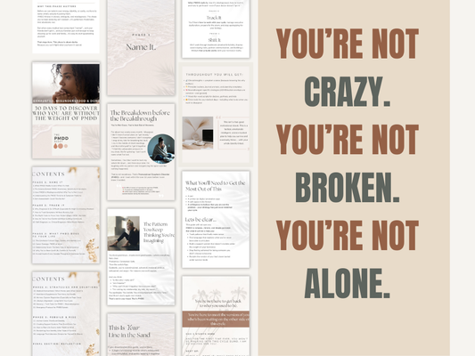 The PMDD Reset - 94 Page eBook